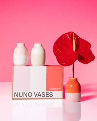 Nuno - Vase Set of 3 pink sand coral