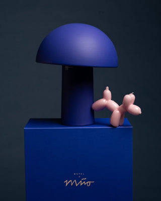 Blaue Tischlampe und rosa Ballonhund-Figur auf einer blauen Box mit der Aufschrift "Motel a Miio".