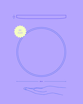 Illustration eines großen Tellers (29 cm Durchmesser, 2 cm Höhe), gehalten von einer Hand, mit dem Text "BIG PLATE".